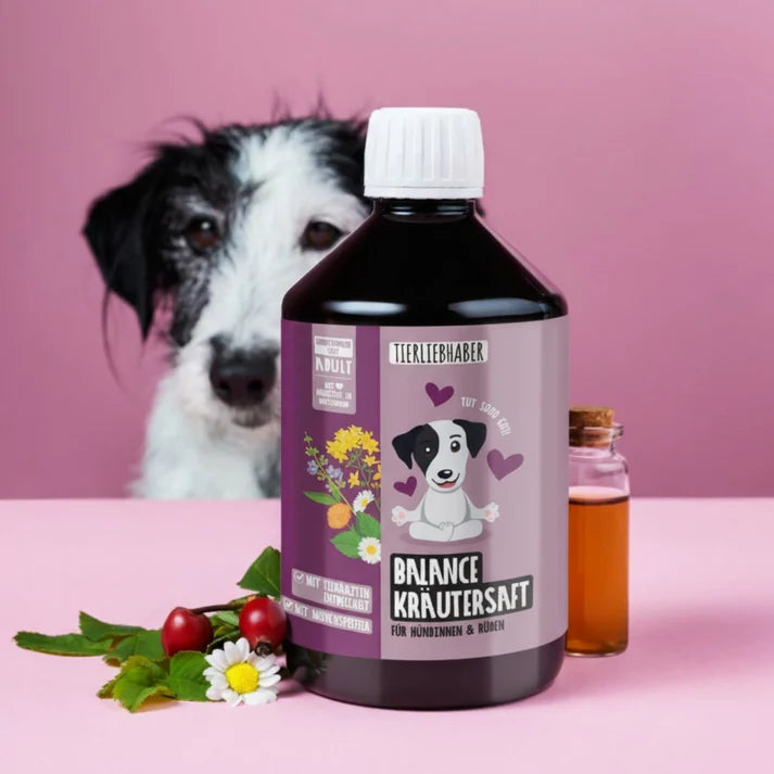 Balance Kräutersaft für Hunde