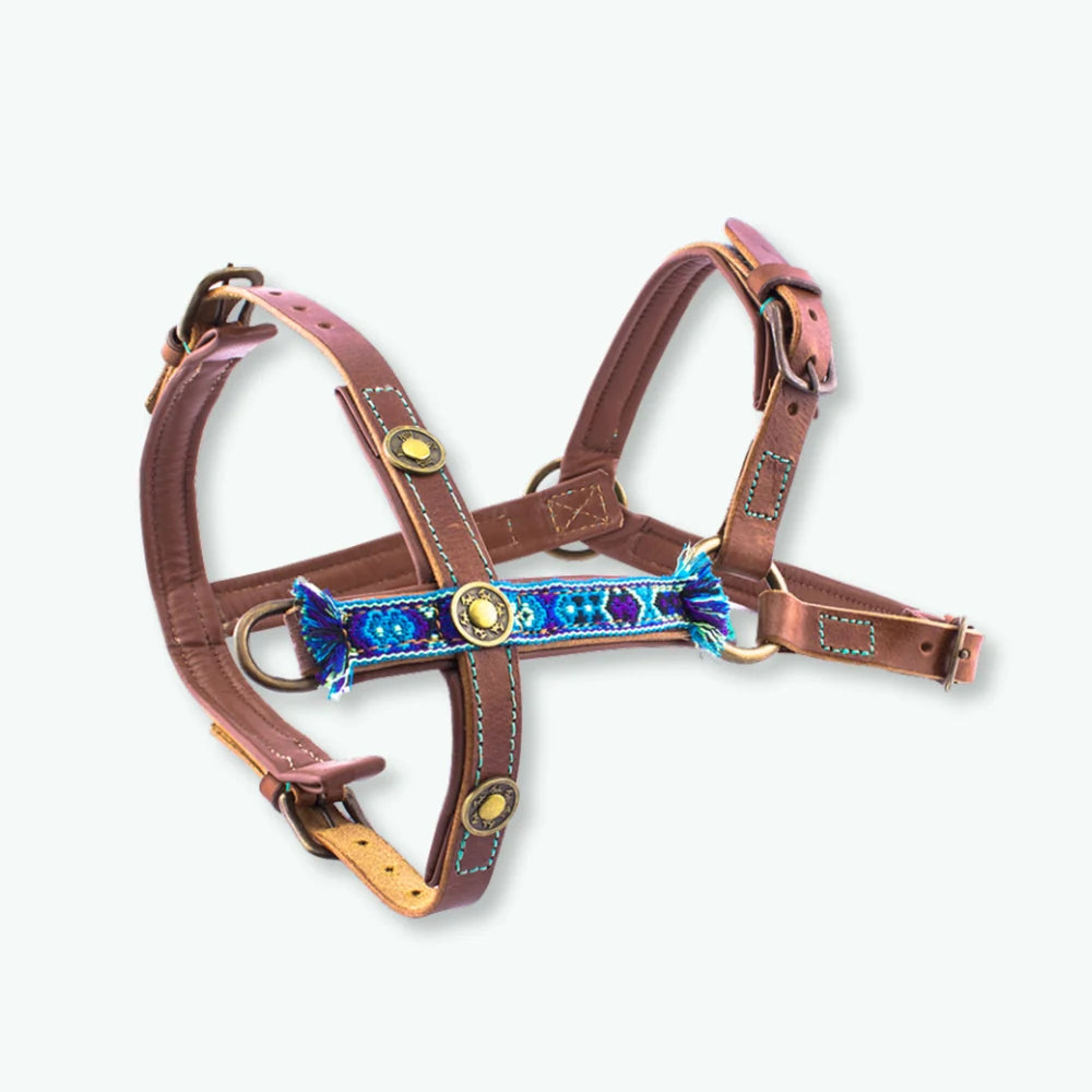 Boho Juan Leder-Hundegeschirr Blau