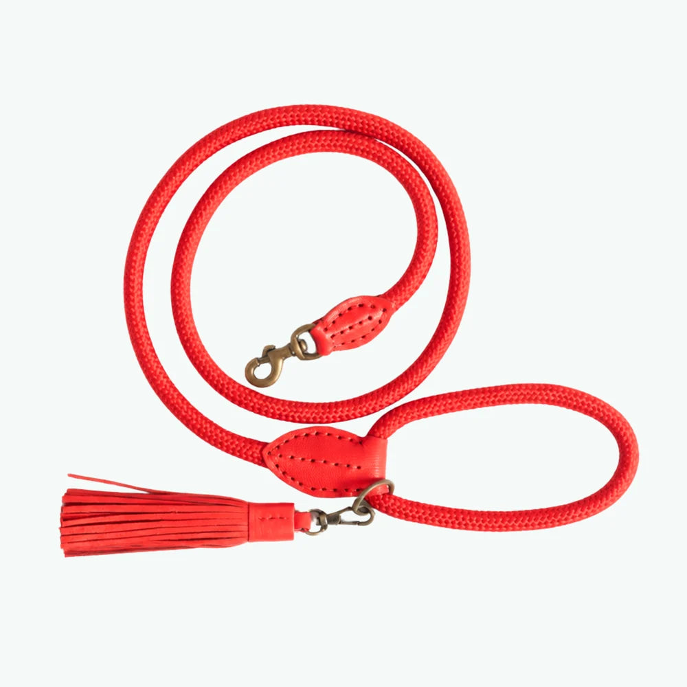 Classic Red Velvet Hundeleine, Rot