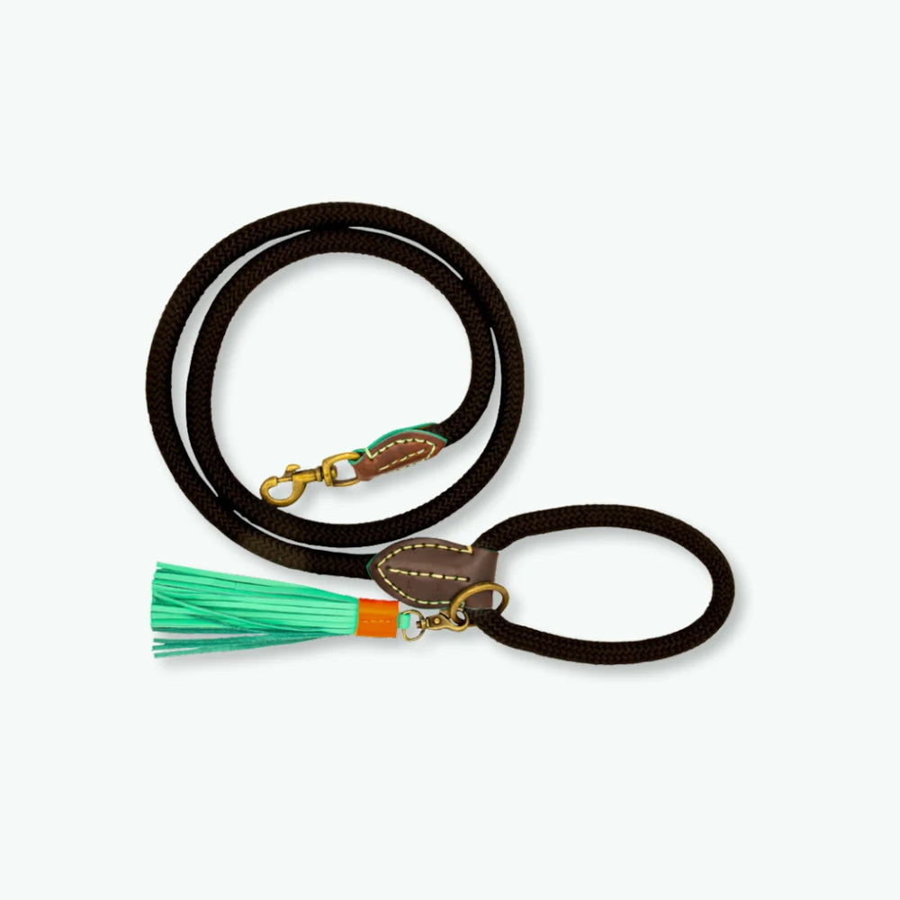 Classic Stone Hundeleine, Schwarz