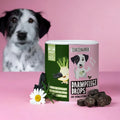 Darmpflege Drops für Hunde