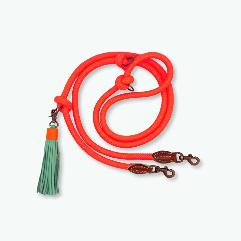 Extra lange Carrot Cake Hundeleine, Neonorange