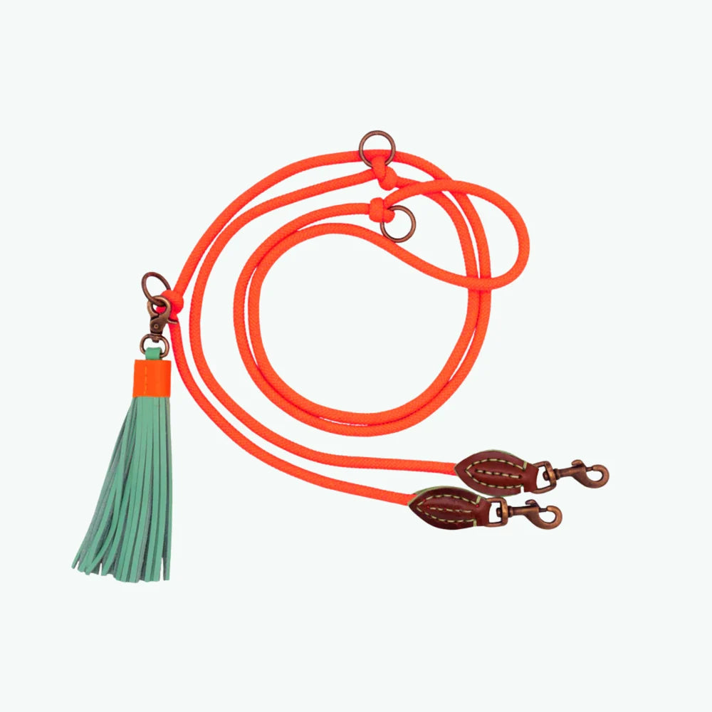 Extra lange Carrot Cake Hundeleine, Neonorange