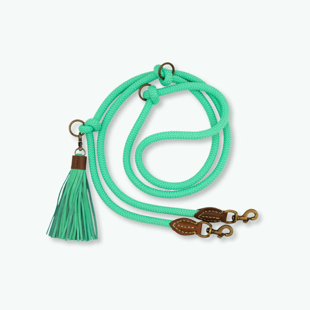 Extra lange Jade Hundeleine, Türkis