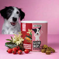 Gelenk Drops für Hunde