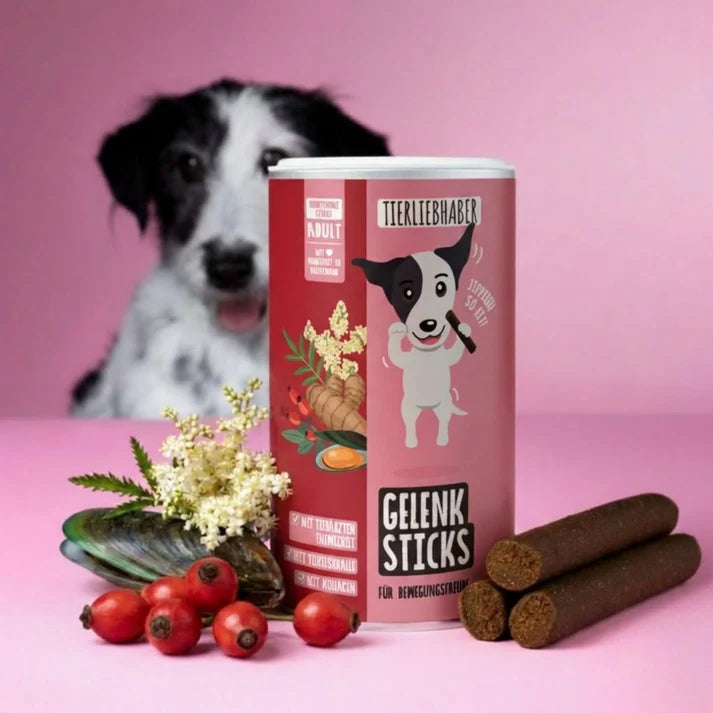Gelenk Sticks für Hunde