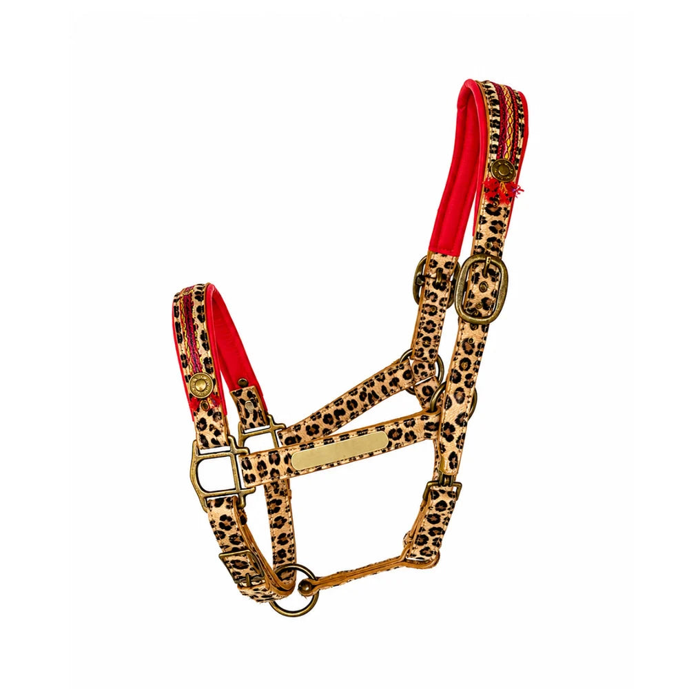 Gypsy Pferdehalfter, Rot mit Leopard Print