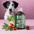 Hustensaft für Hunde