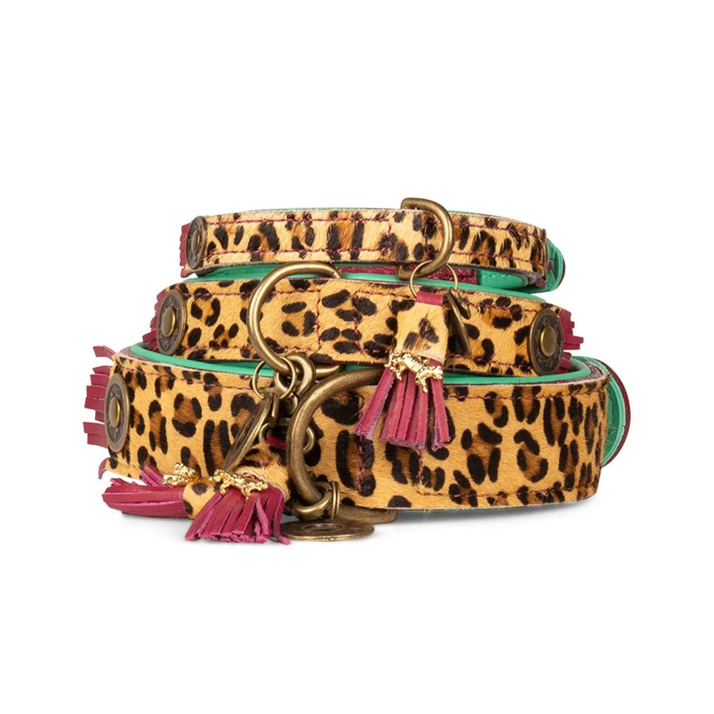 Lou Lou Leder-Hundehalsband
