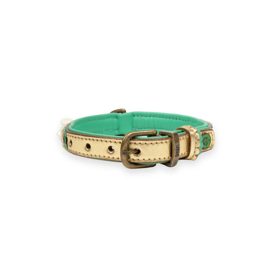 Love Story Hundehalsband, Gold mit Spitze