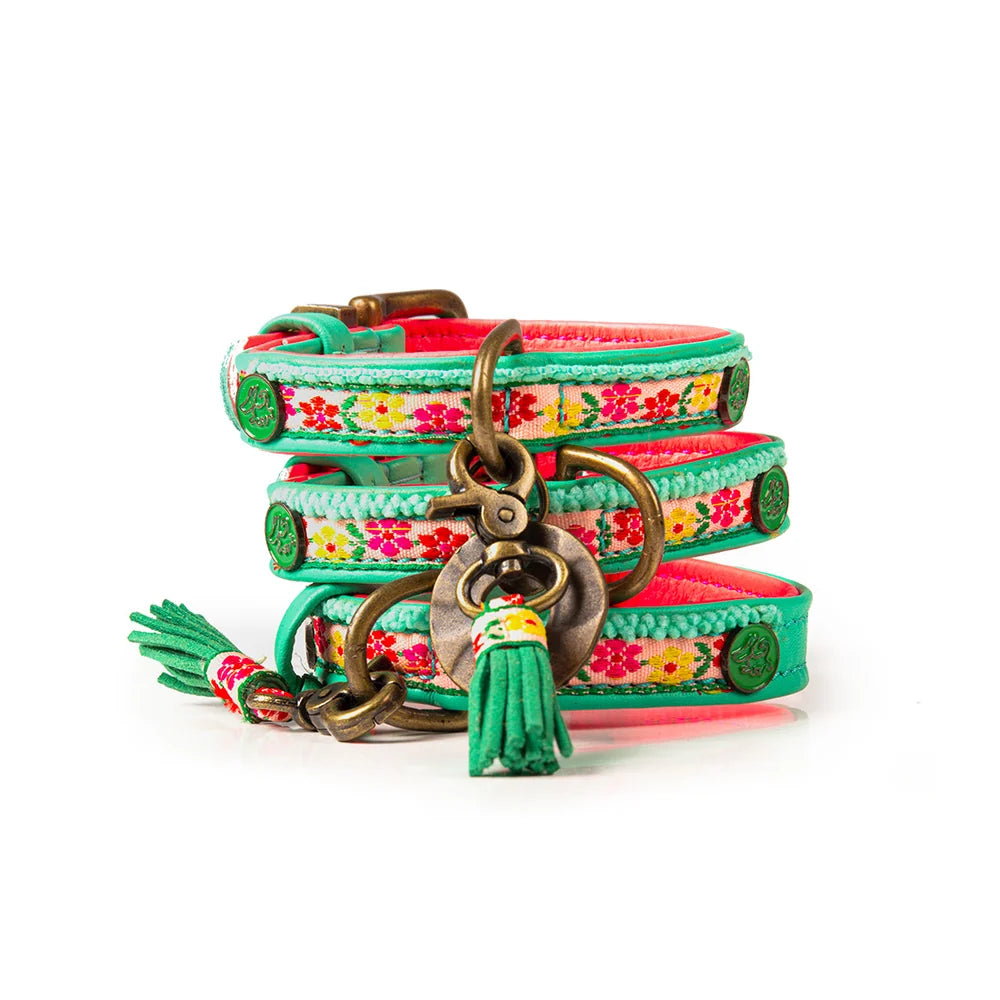 Mini Hundehalsband Bella, Türkis