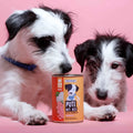 Nassfutter Pute mit Reis für Hunde