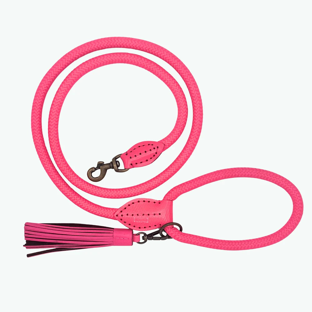 Klassische Flamingo Hundeleine Rosa