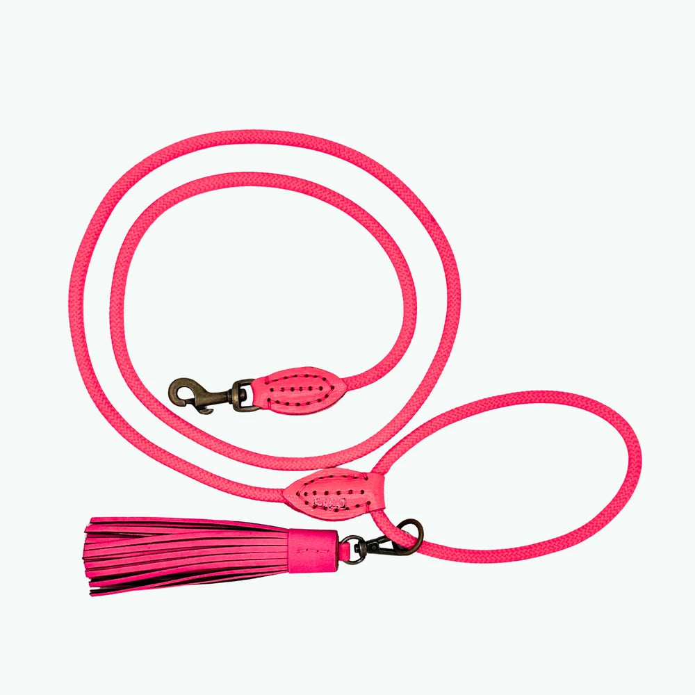 Klassische Flamingo Hundeleine Rosa