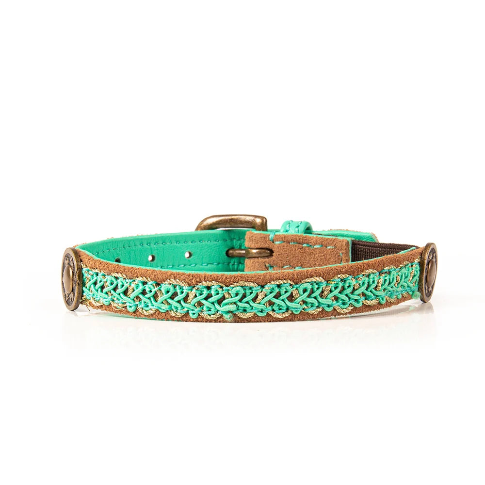Tommy Katzenhalsband, Türkis