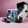 Z-Snack für Hunde