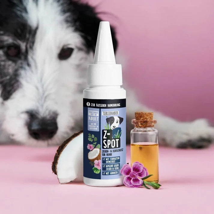 Z-Spot für Hunde