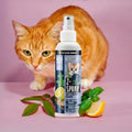 Z-Spray - Katze